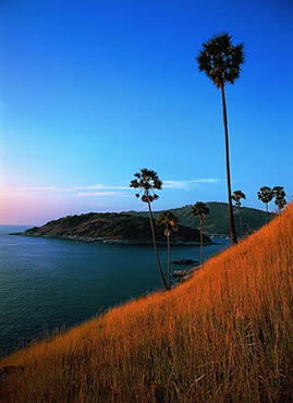 holidays thailand